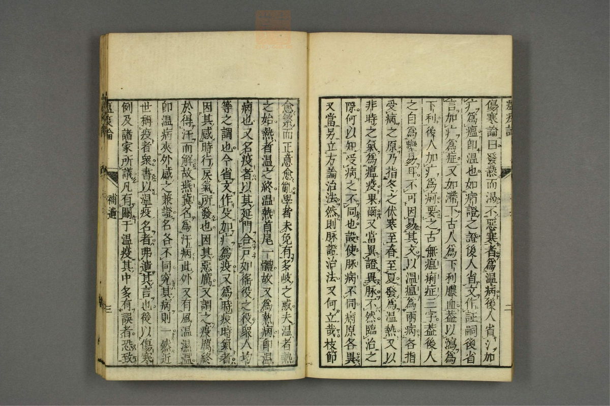 瘟疫论标注(第107页)