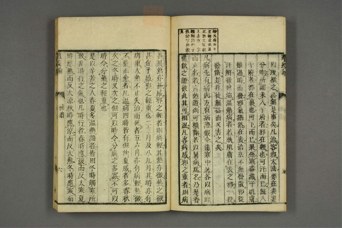 瘟疫论标注(第110页)