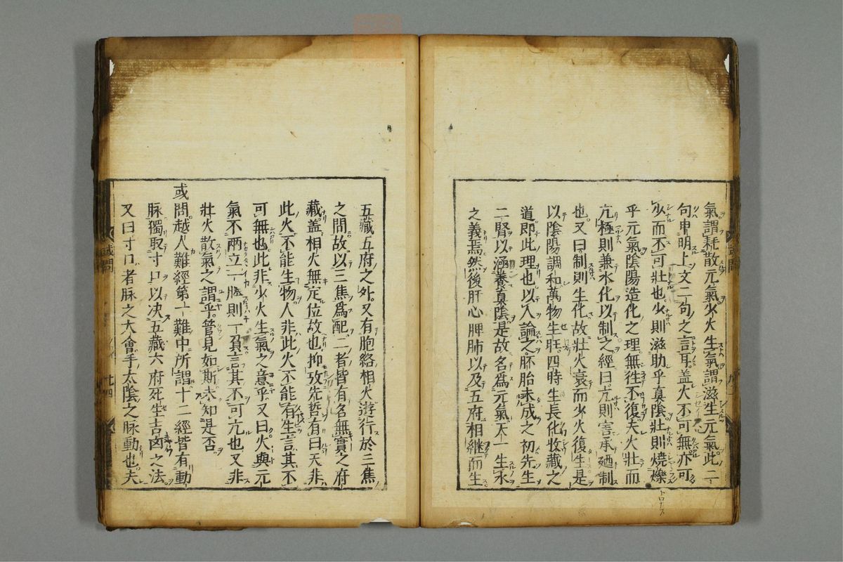 新编医学正传(第30页)