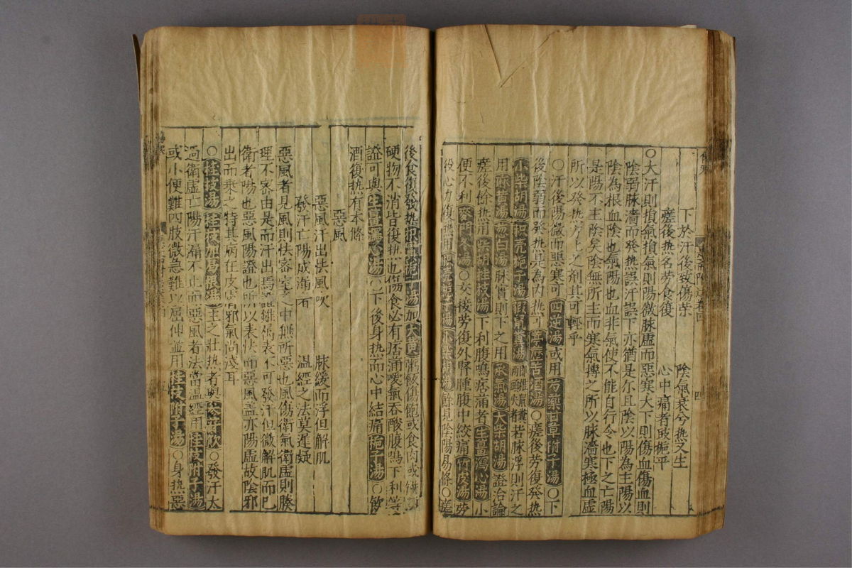 新刊仁斋直指附遗方论(第876页)