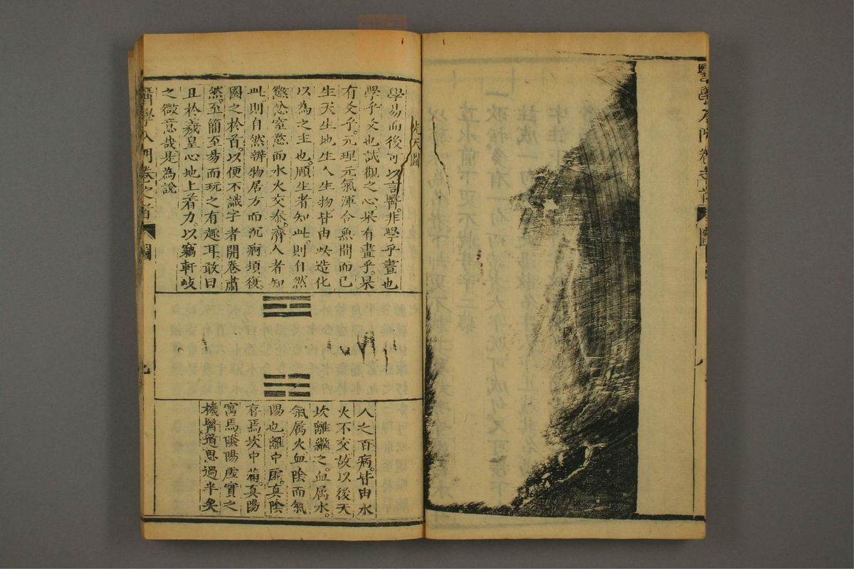 医学入门(第10页)