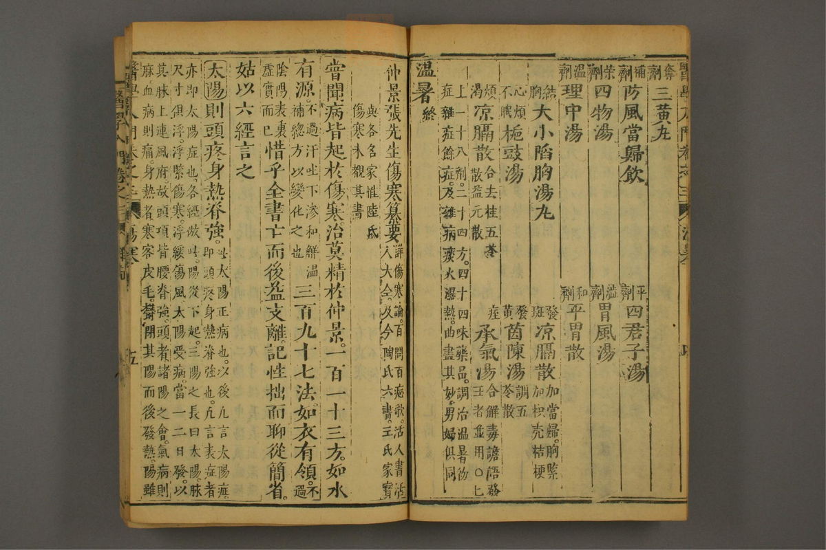 医学入门(第513页)