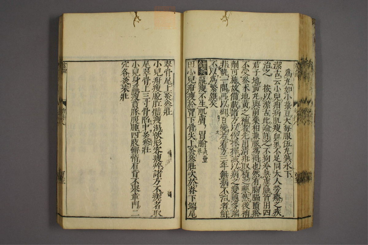 幼科证治准绳(第1381页)