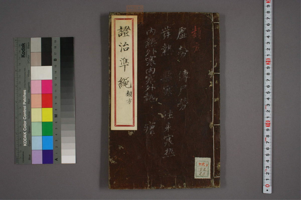 杂病证治类方(第113页)