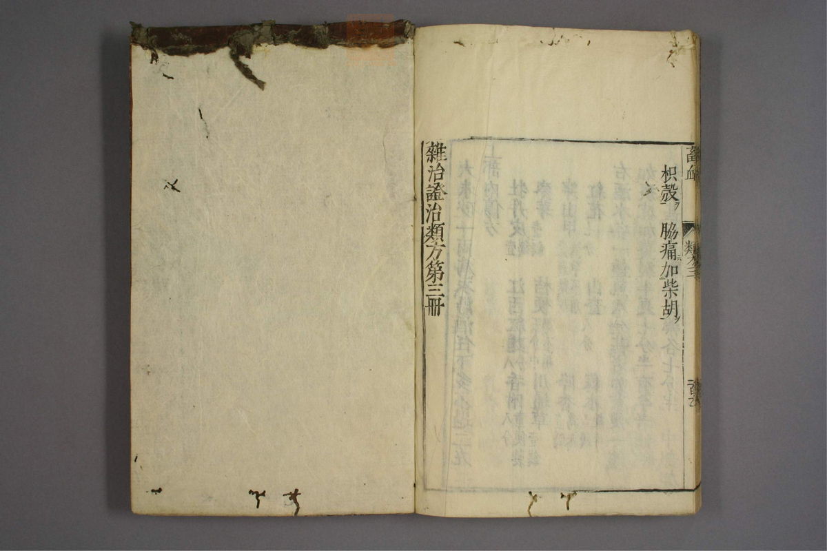 杂病证治类方(第511页)