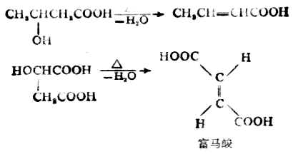 四、羟基酸的化学性质