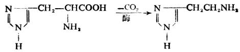 三、重要的杂环化合物及其衍生物