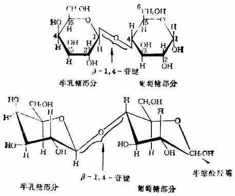 《医用化学》_第二节 二糖_中医世家