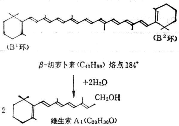 β-胡萝止素水解为维生素A