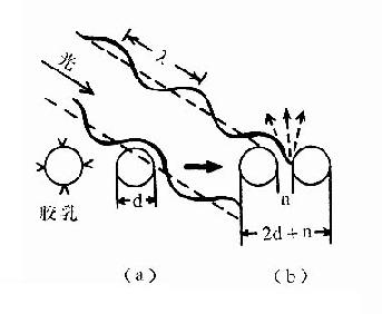 载体胶乳免疫比浊原理