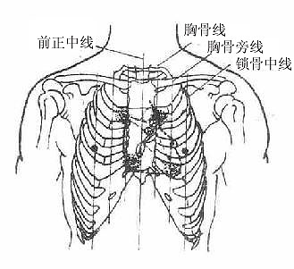 胸部标志线（前面）