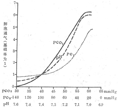 动脉血液PCO2、PO2、pH改变对肺泡通气