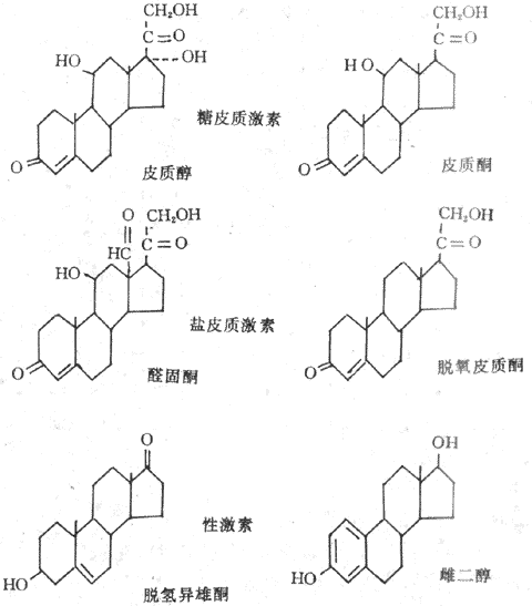 几种主要的肾上腺皮质激素有化学结构