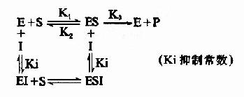 磺胺药物的抑菌作用
