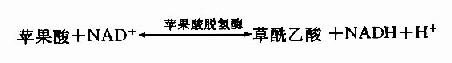 三羧酸循环