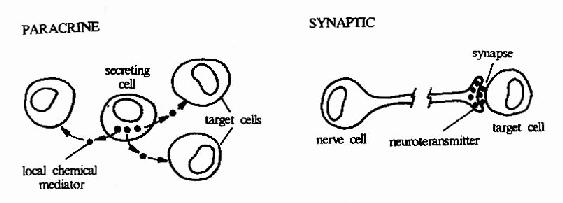 化学信号的三种形式