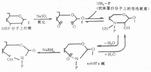 过碘酸盐氧化原理