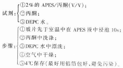 APES（氨丙基三乙氧基硅浣）法