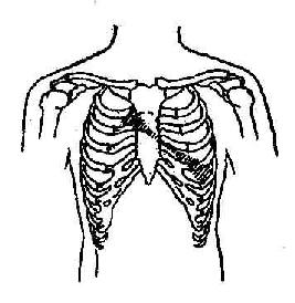 二尖瓣关闭不全及主动脉瓣狭窄收缩期杂音示意图