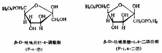 β-D-（-）-吡喃果糖　β-D-（-）-呋喃果糖