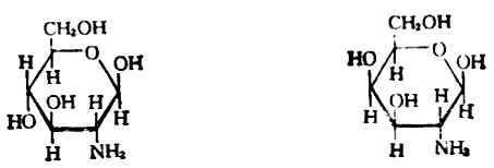 β-D-（-）-吡喃果糖　β-D-（-）-呋喃果糖