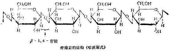 糖原的分去状结构示意图