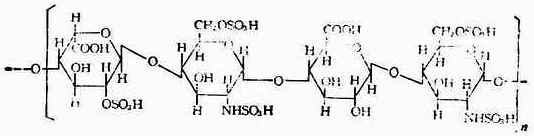 β－D-葡萄糖醛醛酸　N-乙酰基－D－氨基葡萄糖