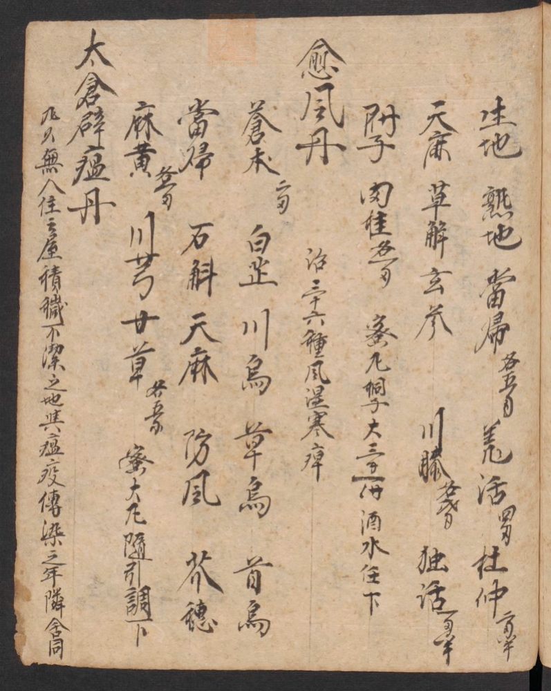丹字药方本(第163页)