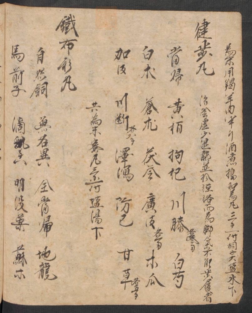 丹字药方本(第166页)