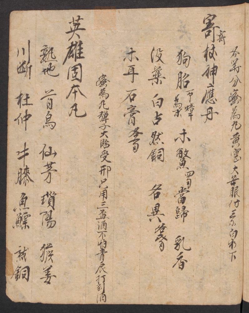 丹字药方本(第167页)