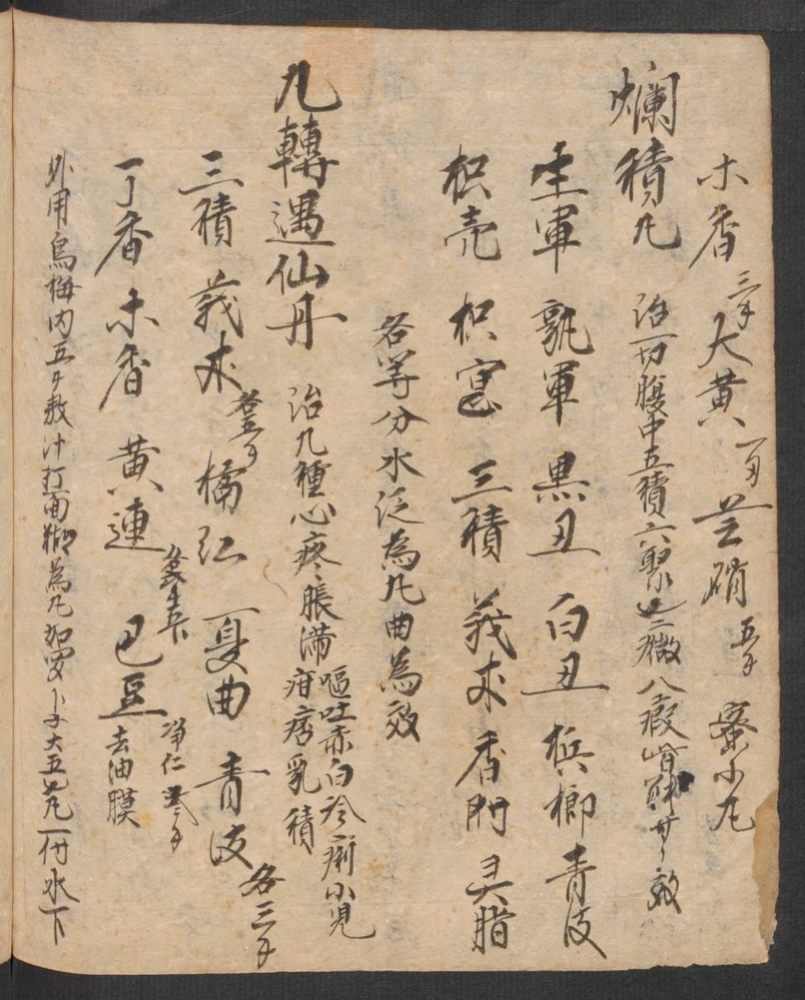 丹字药方本(第176页)