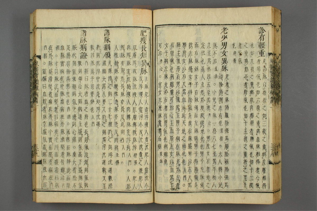 订正东医宝鉴(第795页)