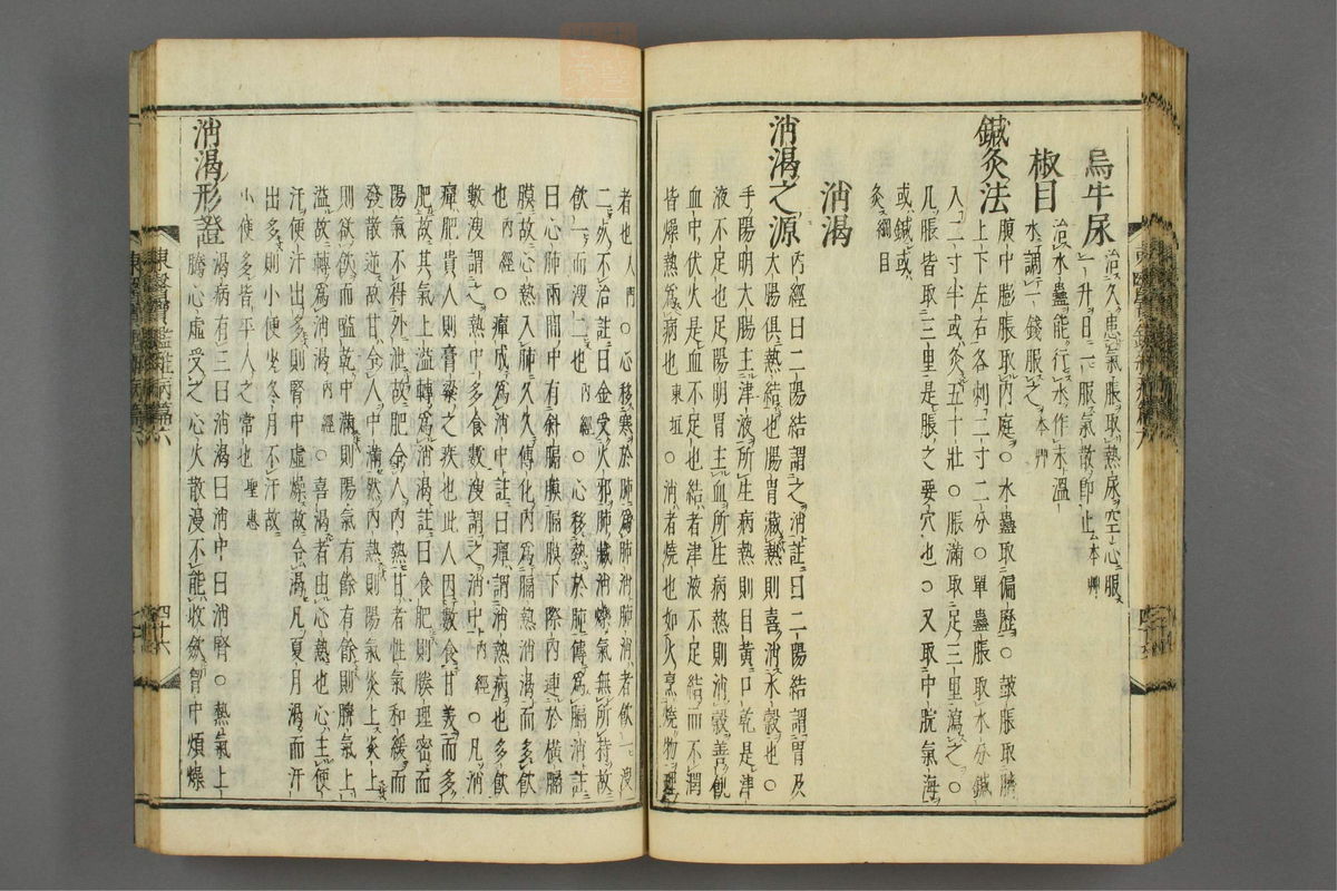 订正东医宝鉴(第1160页)