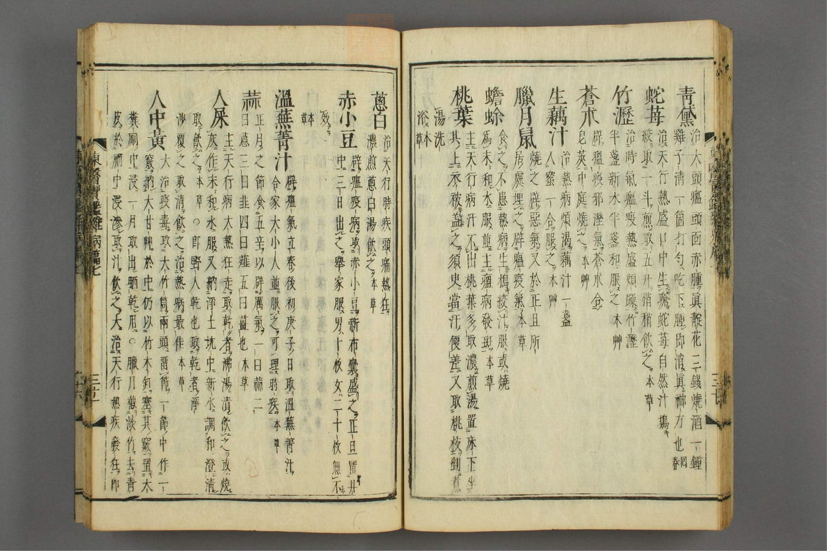 订正东医宝鉴(第1217页)