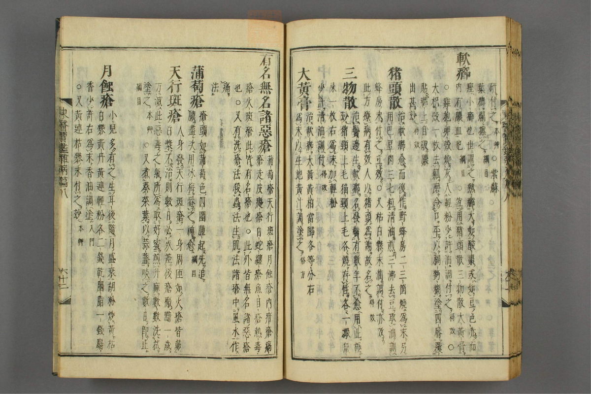订正东医宝鉴(第1316页)