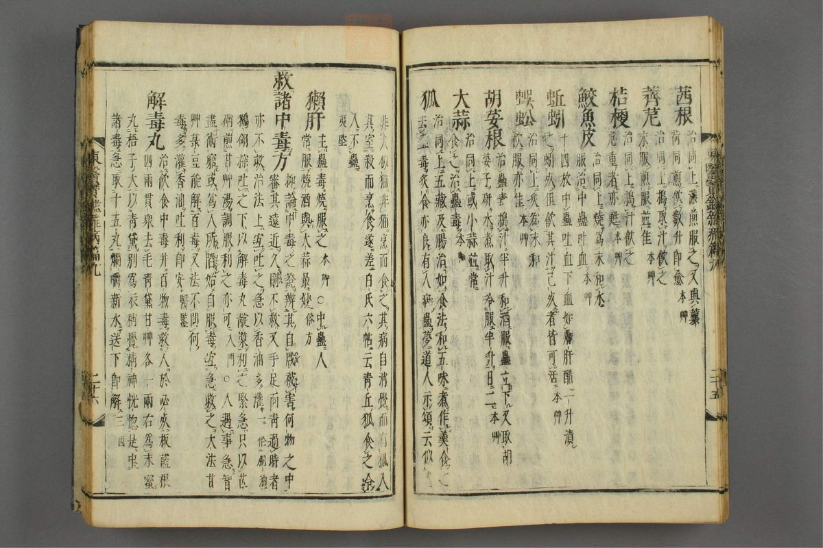 订正东医宝鉴(第1349页)