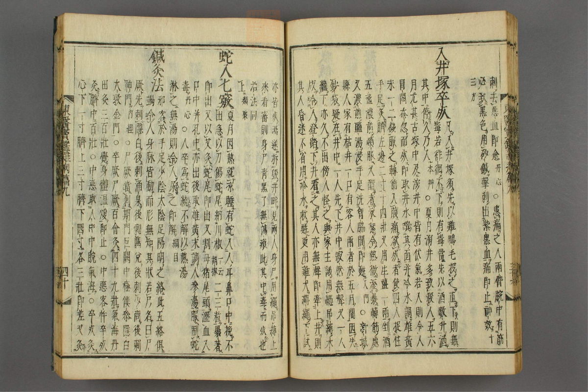 订正东医宝鉴(第1363页)