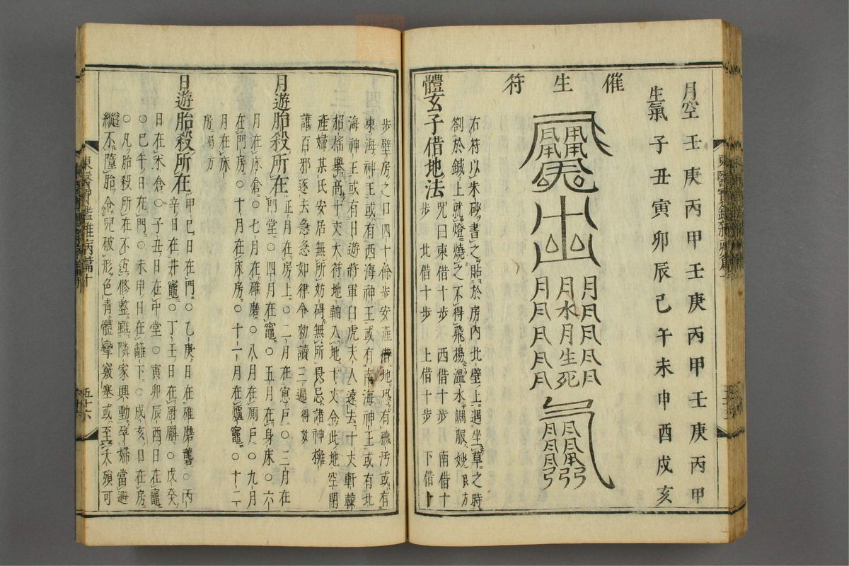 订正东医宝鉴(第1442页)