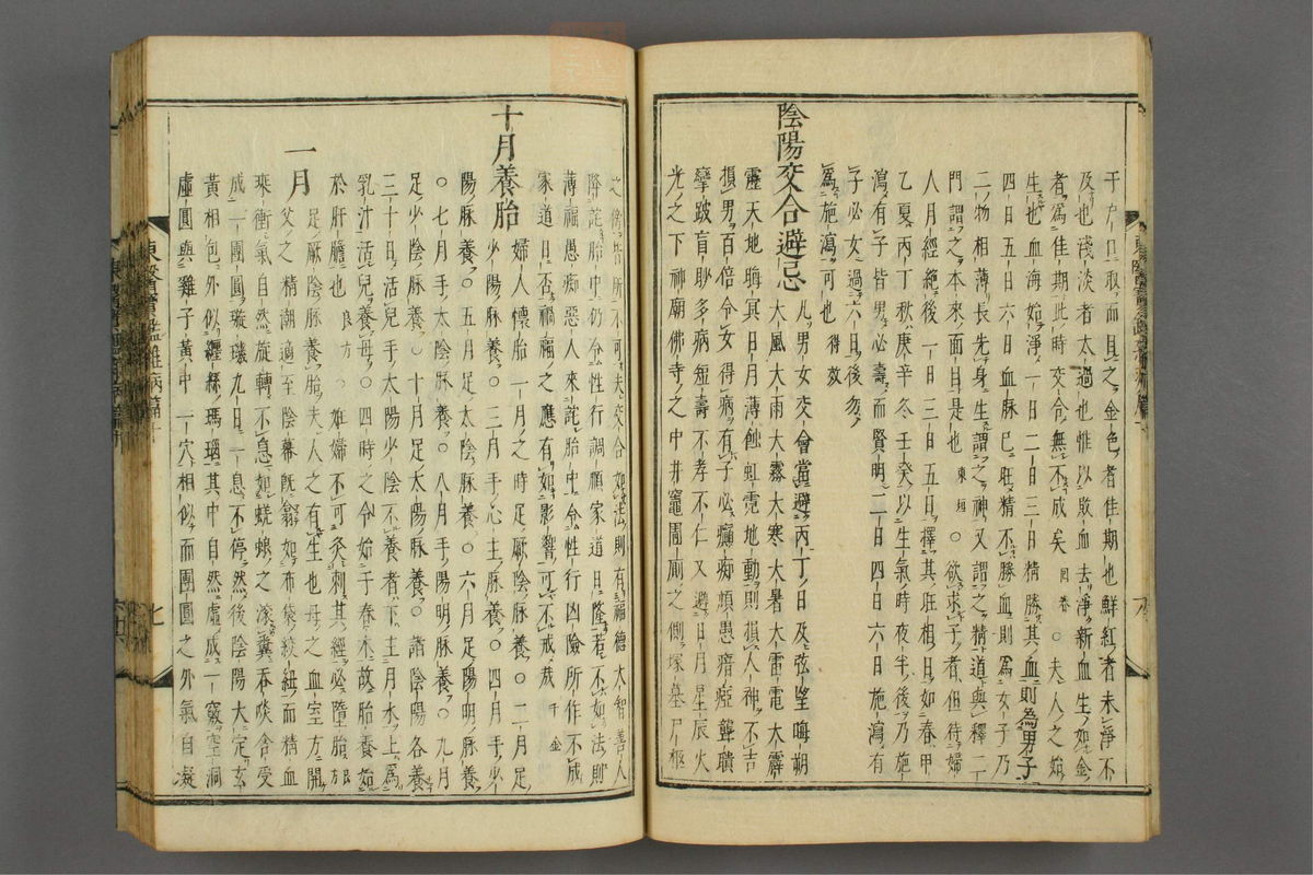 订正东医宝鉴(第1393页)