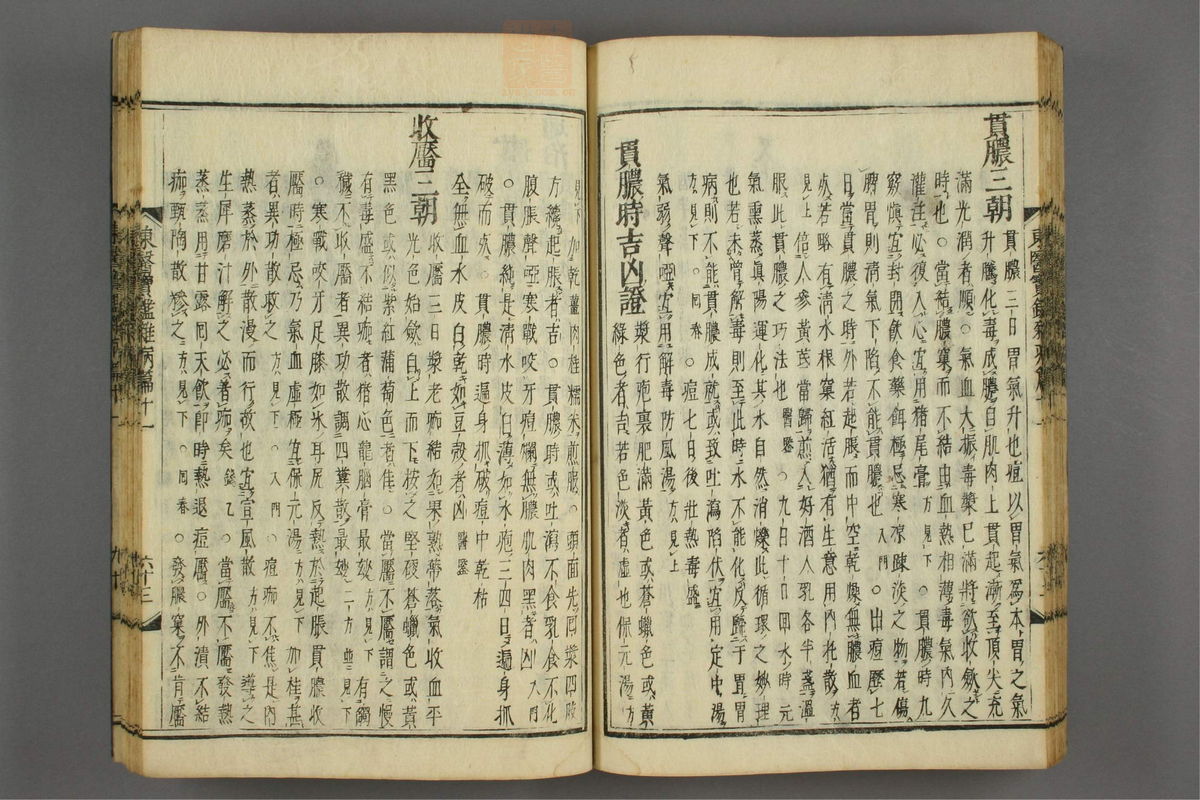 订正东医宝鉴(第1517页)