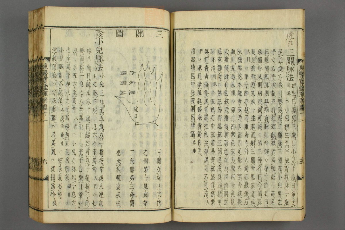 订正东医宝鉴(第1460页)