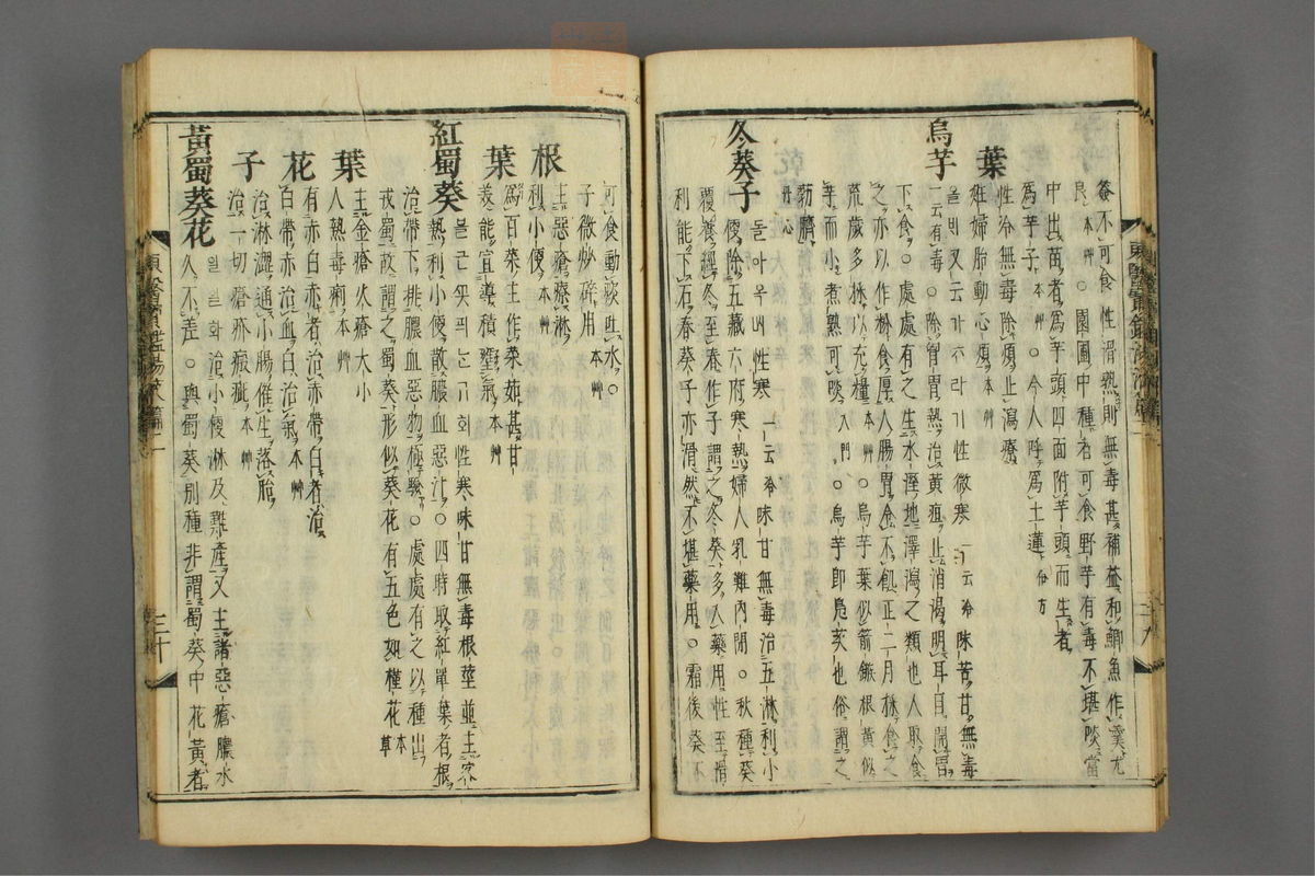 订正东医宝鉴(第1645页)