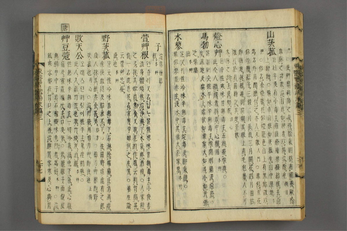 订正东医宝鉴(第1698页)