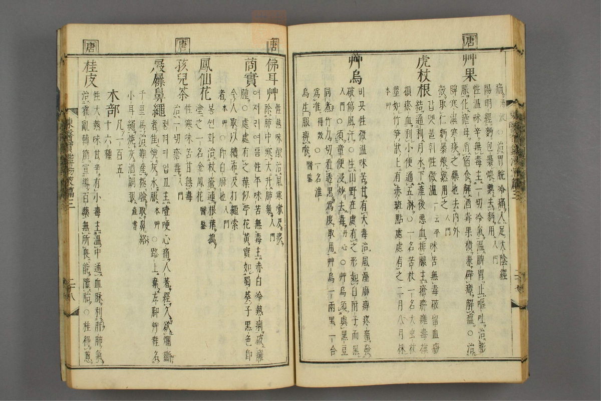 订正东医宝鉴(第1699页)