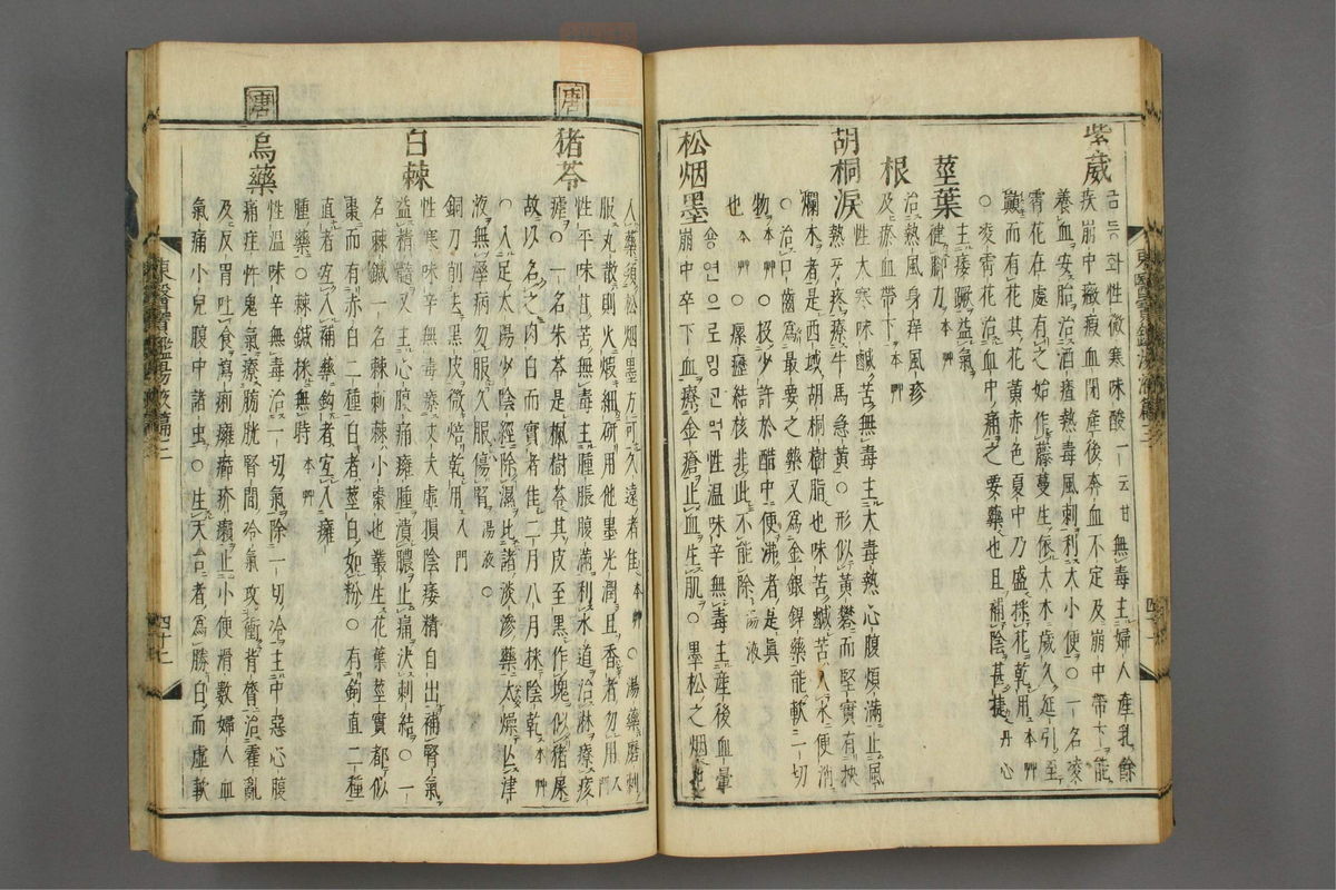 订正东医宝鉴(第1713页)