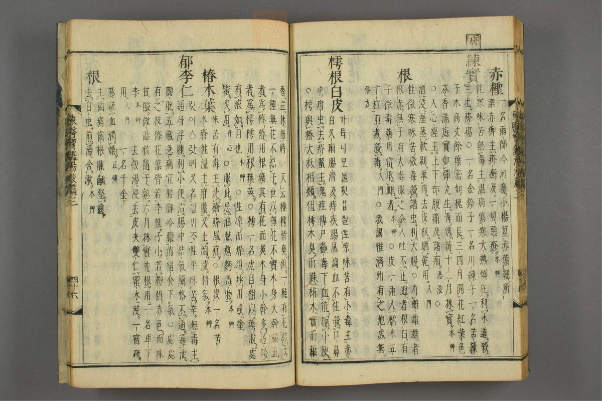 订正东医宝鉴(第1717页)
