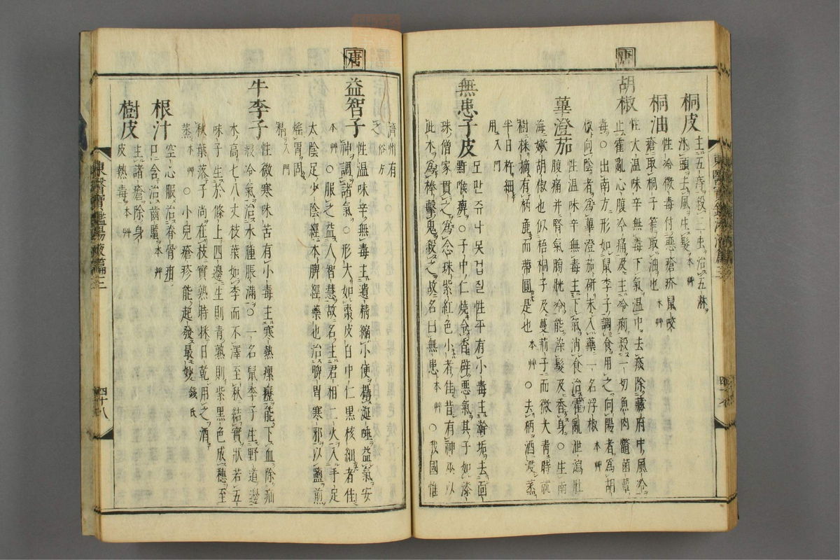 订正东医宝鉴(第1719页)