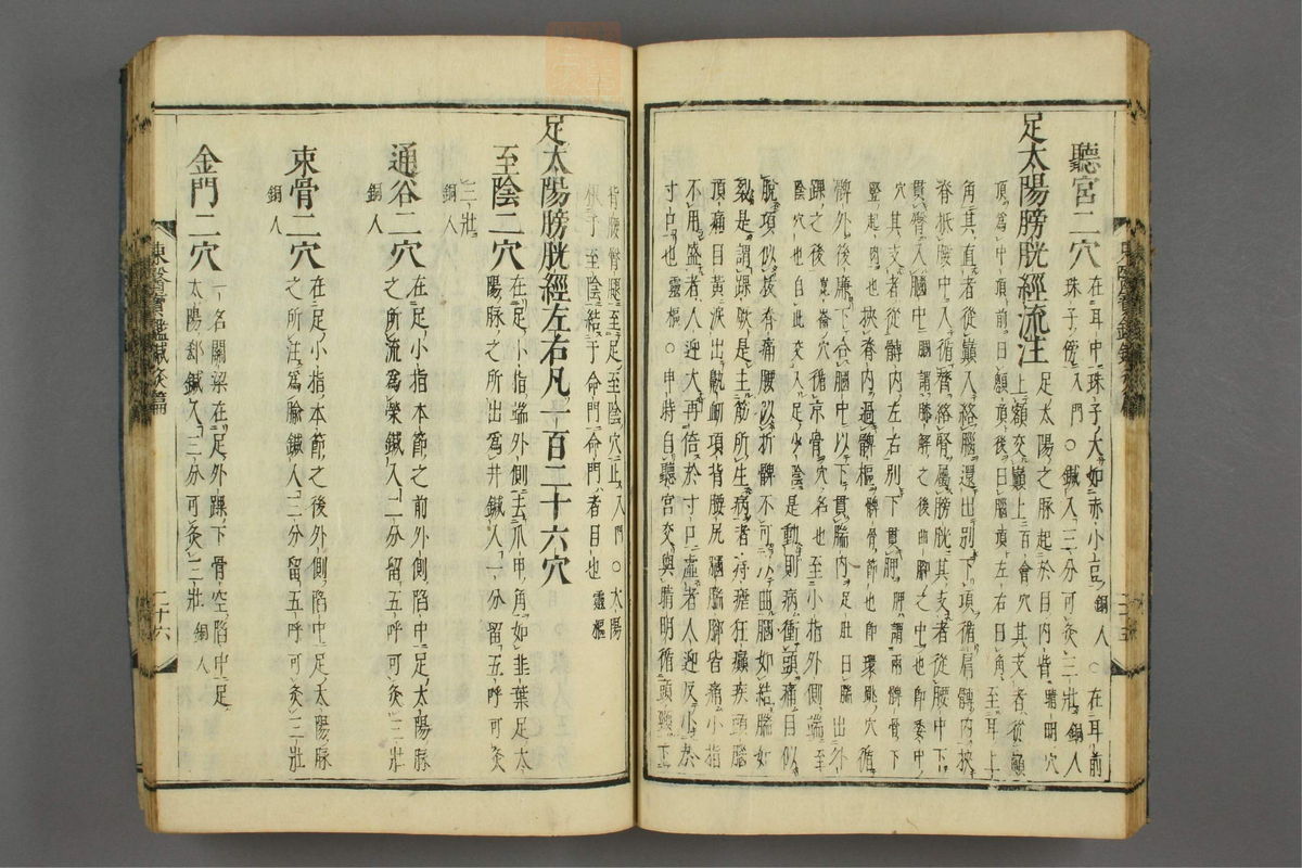 订正东医宝鉴(第1762页)