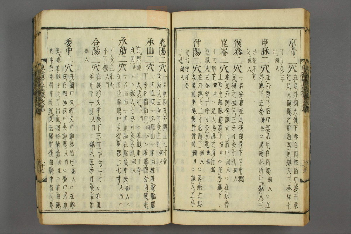 订正东医宝鉴(第1763页)