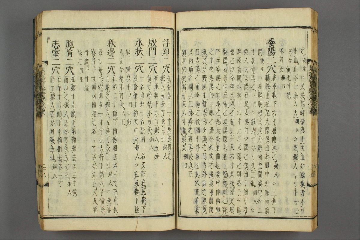 订正东医宝鉴(第1764页)